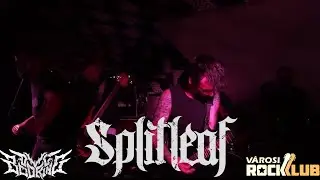 SPLITLEAF - SPARK (Live at V&aacute;rosi Rock Klub, 2024.08.17🦉)