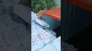 Chinese Yarn Supplier Loading Container for Exporting.