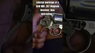 S&W 686 .357 Magnum Revolver Internal workings. Very Fascinating...