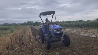MODERN FARMERS QUICKLY PLOW RICE FIELDS USING SOPHISTICATED MACHINES! -Agriculture Farming