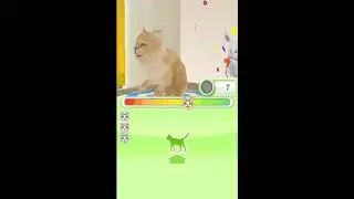 Nintendo DS Longplay - Petz: Catz Playground Part.1 of 3