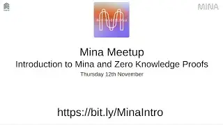 Introduction to Mina Protocol and Zero Knowledge Proofs