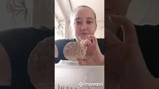 Оренбургские глины