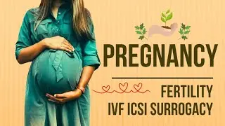 Fertility Treatments IUI IVF ICSI Ovum Pickup Surrogacy Dr Vaishali Killekar