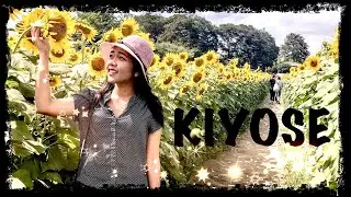 Japan Sunflower Festival, Tokyo || Exploring Japan Series