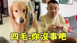 四毛：你沒事吧，哪有人這樣包餃子的，要yue了！【起错名的四毛】