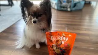 Your dog will go nuts for Crunchy Os