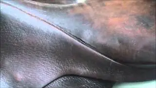 #01 Saddle Balance-Intro.wmv