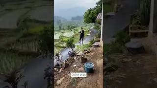 Desa indah di Indonesia #wisata #pedesaan #desa #sawah #kampung #sunda #villagelife #nature #alam