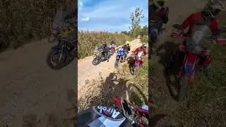 #saptecoline #motorcycle #honda #crf300l #music #enduro #dirt #forest #ride #group #fun #adventure