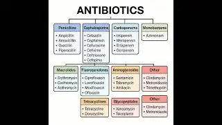 💊 Antibiotics Made Simple! 🦠 | Penicillins, Cephalosporins, Macrolides & more in 60 seconds! 🚑👩&zwj;⚕️