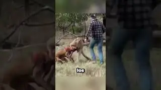 Cuando Las Cámaras Captaron Los Momentos Más Asomb