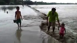 Assam floods 2019, please contribute now,,,, Kolkata Mozoomder FOUNDATION (NGO)