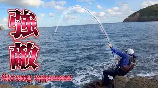【JPN/ENG】拾ったカニで磯の強敵口白に挑んだ。DAIWA幻覇王石鯛524HH