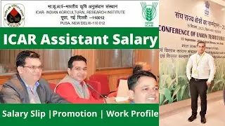 ICAR IARI Assistant In Hand Salary - HeadQuater vs Institute Salary  | Promotions of Assistant