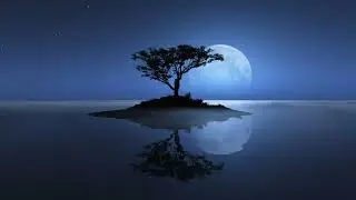 The Only All-In-One Music You Need | Deep Sleeping Music, Relaxing, Stress Relief, Meditation Music