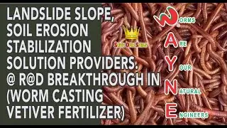 Fertilizing VETIVER grass on a landslide steep slope. amazing  SOS ORGANIC  FERTILIZER results.