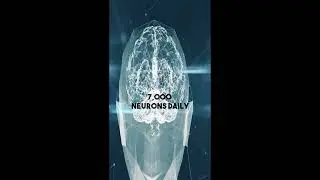 00029 - Medify - Medical reel