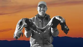 WHY WE HUNT &ndash; The Truth About Hunting: Food, Conservation, and Purpose
