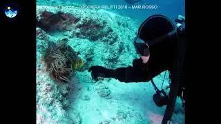 Dive in Red Sea Reef - Immersioni in Mar Rosso - Best Diving sites in Red Sea