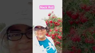 Walk and Neck Roll | Shoulder Pain | कंधों का दर्द #yogawithpreetiandbeyond #neckpain #walking