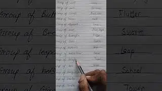Different names of Group of animals and insects