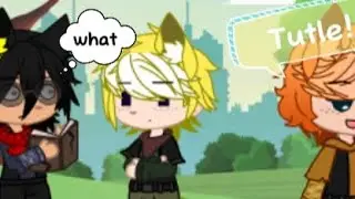 Tutle? Gacha Meme | The Chaos Squad | Eeveelution Au |