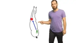 Straightness Training Academy Song