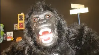ALBERT GORILLA