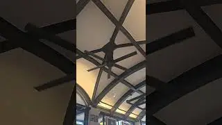 out of town news harvard square ceiling fan