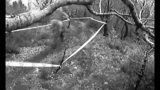Mountain Bike MTB Downhill Varigotti (SV) Italy Top class 2006