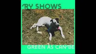 Ry Shows - Lead Me Home