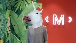 How to become a unicorn startup in 2020