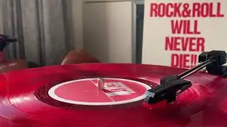 ROCK & ROLL WILL NEVER DIE!!(Vinyl) / KODOMO BAND