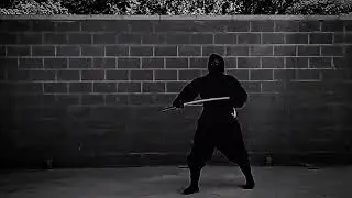 Shinobi shizoku