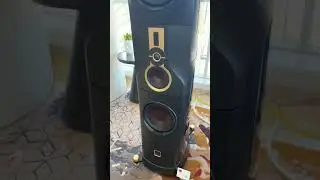 $116,000 Two Channel setup?! Dali & NAD @ Axpona 2023 #axpona #dali #nad #hifi #twochannel #music
