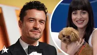 Dakota Johnson &lsquo;Babysits&rsquo; As Orlando Bloom&rsquo;s Dog Interrupts Live Interview
