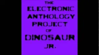 The Electronic Anthology Project of Dinosaur Jr-Feel The Pain