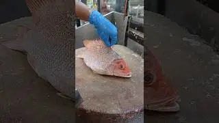 How To Make Red Snapper Fish Butterfly#shorts