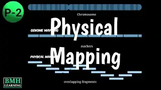 Physical Mapping | Physical Mapping Techniques | Difference Between Genetic Map And Physical Map |