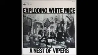 Exploding White Mice &lrm;- 