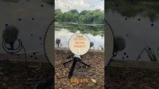Day 116 365 days of sound project #fieldrecordings #sounddesign #soundtrack  #fieldrecording