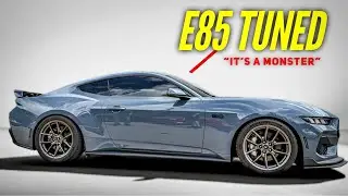 CAMMED E85 S650 MUSTANG - WOW !!!! #fanboy