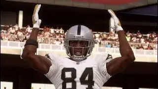 MADDEN 19 ANTONIO BROWN RAIDERS HIGHLIGHTS!!