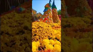 Flower Kingdom #shorts #nature #travel #flowers #vlog
