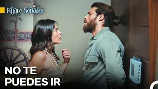 El Carisma De Un Hombre Que Lucha Por Su Relación - Pájaro Soñador