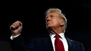 &lsquo;Historic success&rsquo;: Trump claims growing Hispanic support in new polls
