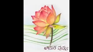 KRKs || Nemalikallu - PeacockEyes