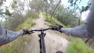 Kawabonga - Bosque de la primaver - Septiembre 2024