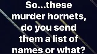Funny Meme's #17